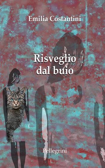 Risveglio dal buio - Emilia Costantini - Libro Pellegrini 2022, Romanzi | Libraccio.it