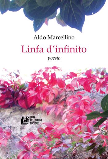 Linfa d'infinito - Aldo Marcellino - Libro Pellegrini 2022 | Libraccio.it