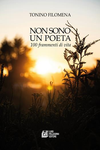 Non sono un poeta. 100 frammenti di vita - Tonino Filomena - Libro Pellegrini 2024, Fuori collana | Libraccio.it