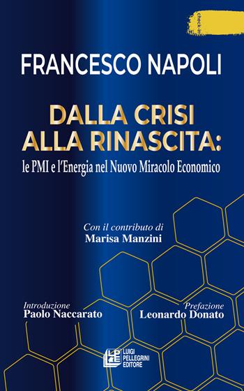Dalla crisi alla rinascita: le PMI e l'energia nel nuovo miracolo economico - Francesco Napoli - Libro Pellegrini 2025, Check-in | Libraccio.it