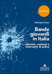 Bande giovanili in Italia. Identità, contesti e interventi di policy