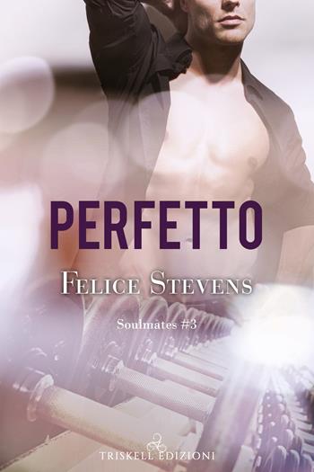 Perfetto. Soulmates. Vol. 3 - Felice Stevens - Libro Triskell Edizioni 2021, Rainbow | Libraccio.it