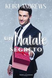 Un Natale segreto