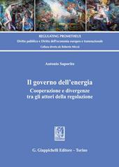 Il governo dell'energia. Cooperazione e divergenze tra gli attori della regolazione