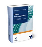 Diritto processuale civile. Vol. 4: L'esecuzione forzata, i procedimenti sommari, cautelari e camerali