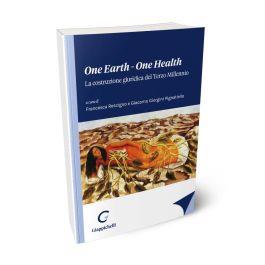 One earth-One health. La costruzione giuridica del terzo millennio - Luisella Battaglia, Raffaele Bifulco - Libro Giappichelli 2023 | Libraccio.it