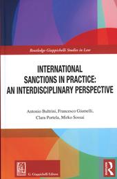 International sanctions in practice: an interdisciplinary perspective