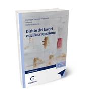 Diritto dei lavori e dell'occupazione