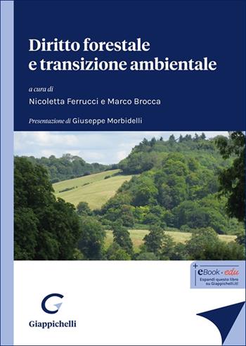 Diritto forestale e transizione ambientale - Sonia Carmignani, Nicola Lucifero, Emiliano Frediani - Libro Giappichelli 2025 | Libraccio.it