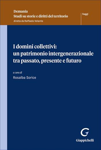 I domini collettivi: un patrimonio intergenerazionale tra passato, presente e futuro  - Libro Giappichelli 2026, Demania. Studi su storie e diritti del territorio | Libraccio.it