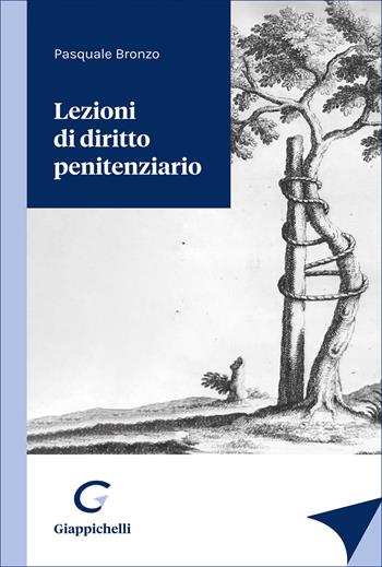 Lezioni di diritto penitenziario - Pasquale Bronzo - Libro Giappichelli 2026 | Libraccio.it