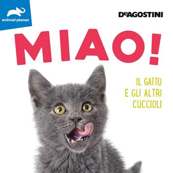 Miao! Il gatto e gli altri cuccioli. Ediz. a colori  - Libro De Agostini 2022 | Libraccio.it