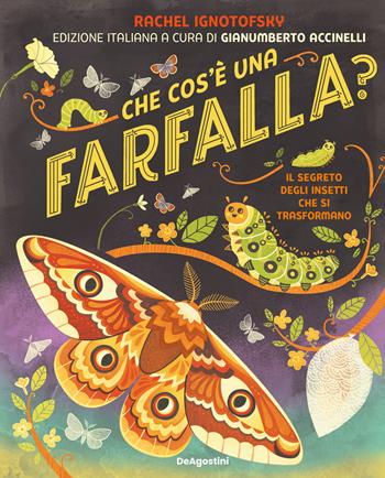 Che cos'è una farfalla? Il segreto degli insetti che si trasformano - Rachel Ignotofsky - Libro De Agostini 2025 | Libraccio.it