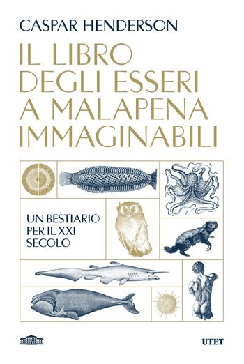 Il libro degli esseri a malapena immaginabili. Un bestiario per il XXI secolo - Caspar Henderson - Libro UTET 2025 | Libraccio.it