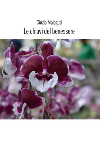 Le chiavi del benessere - Cinzia Malaguti - Libro StreetLib 2022 | Libraccio.it