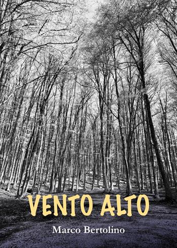 Vento alto - Marco Bertolino - Libro Youcanprint 2022 | Libraccio.it