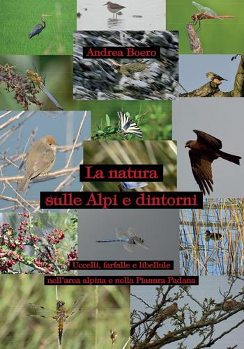 La natura sulle Alpi e dintorni - Andrea Boero - Libro Youcanprint 2022 | Libraccio.it