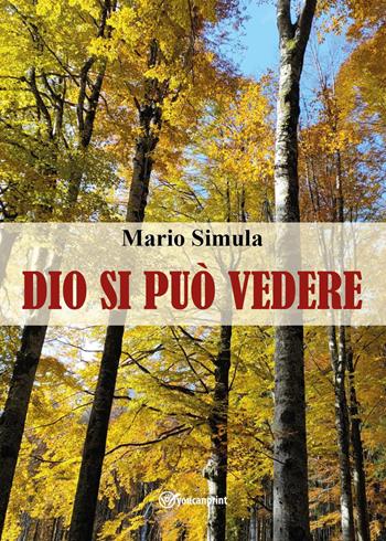 Dio si può vedere - Mario Simula - Libro Youcanprint 2022 | Libraccio.it