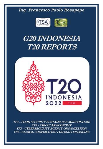 G20 Indonesia T20 reports città future - Francesco Paolo Rosapepe - Libro Youcanprint 2022 | Libraccio.it
