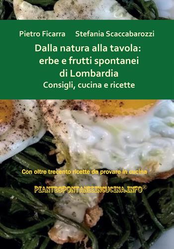 Dalla natura alla tavola: erbe e frutti spontanei di Lombardia. Consigli, cucina e ricette - Pietro Ficarra, Stefania Scaccabarozzi - Libro Youcanprint 2022 | Libraccio.it