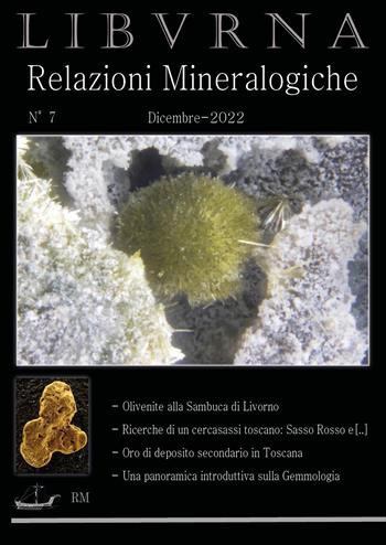 Relazioni mineralogiche. Libvrna. Vol. 7 - Marco Bonifazi - Libro Youcanprint 2022 | Libraccio.it