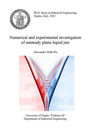 Numerical and experimental investigation of unsteady plane liquid jets - Alessandro Della Pia - Libro Youcanprint 2023 | Libraccio.it