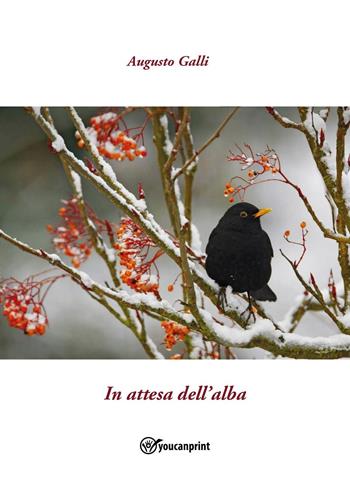 In attesa dell'alba - Augusto Galli - Libro Youcanprint 2023 | Libraccio.it