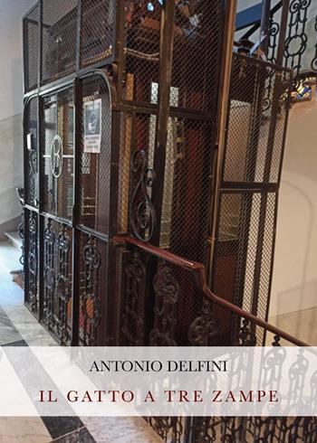 Il gatto a tre zampe - Antonio Delfini - Libro Youcanprint 2023 | Libraccio.it
