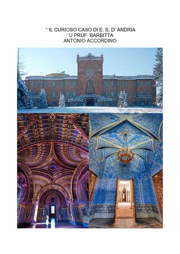 Il curioso caso di E. S. D'Andria ('u Pruf. Barbitta) - Antonio Accordino - Libro Youcanprint 2023 | Libraccio.it
