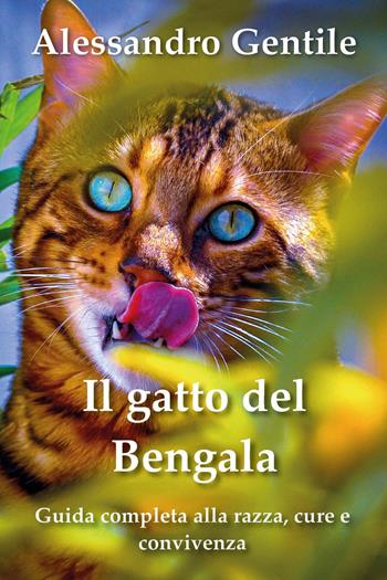Il gatto del Bengala: guida completa alla razza, cure e convivenza - Alessandro Gentile - Libro Youcanprint 2023 | Libraccio.it