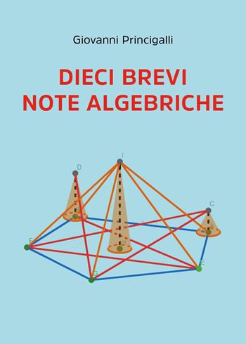 Dieci brevi note algebriche - Giovanni Princigalli - Libro Youcanprint 2023 | Libraccio.it