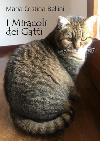 I miracoli dei gatti - Maria Cristina Bellini - Libro Youcanprint 2023 | Libraccio.it