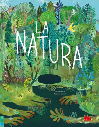 La natura. Ediz. a colori - Yuval Zommer - Libro Gallucci 2023, Illustrati | Libraccio.it