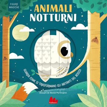 Animali notturni. Figure magiche. Ediz. a colori - Harriet Stone - Libro Gallucci 2023, Artedicarte | Libraccio.it