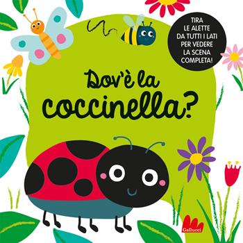 Dov'è la coccinella? Ediz. a colori - Liza Lewis - Libro Gallucci 2023, Artedicarte | Libraccio.it