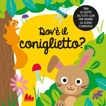 Dov'è il coniglietto? Ediz. a colori - Liza Lewis - Libro Gallucci 2023, Artedicarte | Libraccio.it