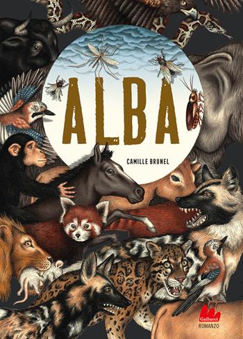 Alba. Nuova ediz. - Camille Brunel - Libro Gallucci Bros 2024, Young adult | Libraccio.it