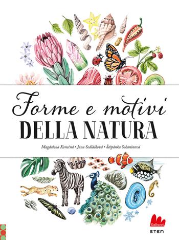 Forme e motivi della natura - Jana Sedlácková, Stepánka Sekaninova - Libro Gallucci 2024, STEM | Libraccio.it