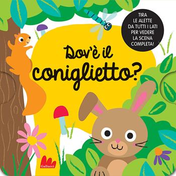 Dov'è il coniglietto? Nuova ediz. - Liza Lewis - Libro Gallucci 2026, Artedicarte | Libraccio.it