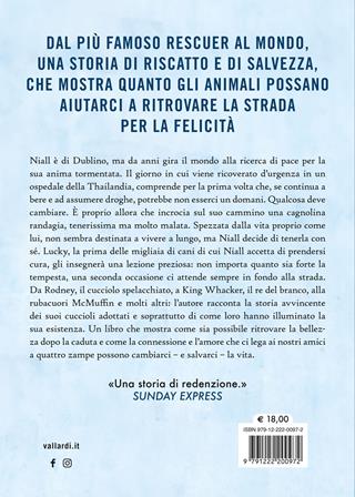 Alla fine della strada l'arcobaleno. Come i cani randagi mi hanno illuminato la vita - Niall Harbison - Libro Vallardi A. 2024 | Libraccio.it