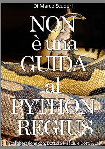 Non è una guida al pythons regius. La raccolta dei miei errori nell'allevamento del pitone reale dal 2009. Con video accessibile con QR code - Marco Scuderi - Libro StreetLib 2023 | Libraccio.it