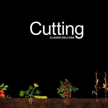 Cutting. Ediz. illustrata - Claudio Dell'Osa - Libro StreetLib 2023 | Libraccio.it