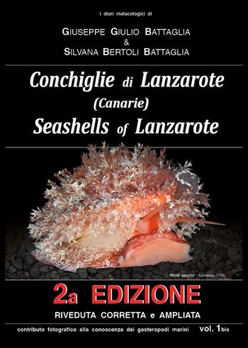 Conchiglie di Lanzarote-Seashells of Lanzarote. Vol. 1 - Giuseppe Giulio Battaglia, Silvana Bertoli Battaglia - Libro Youcanprint 2024 | Libraccio.it
