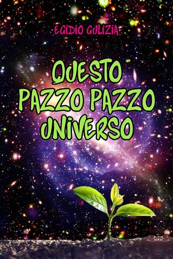 Questo pazzo pazzo universo - Egidio Gulizia - Libro Youcanprint 2024 | Libraccio.it