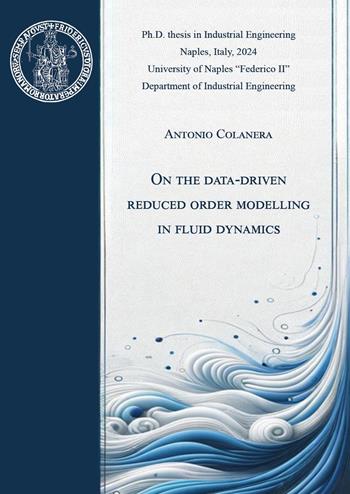 On the data-driven reduced order modelling in fluid dynamics - Antonio Colanera - Libro Youcanprint 2024 | Libraccio.it