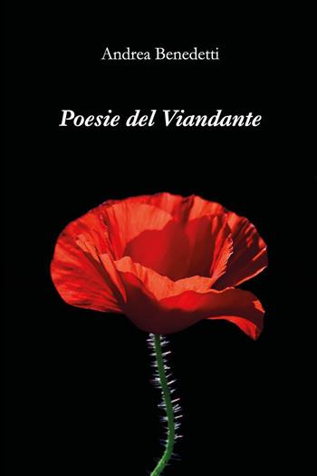 Poesie del viandante - Andrea Benedetti - Libro Youcanprint 2024 | Libraccio.it