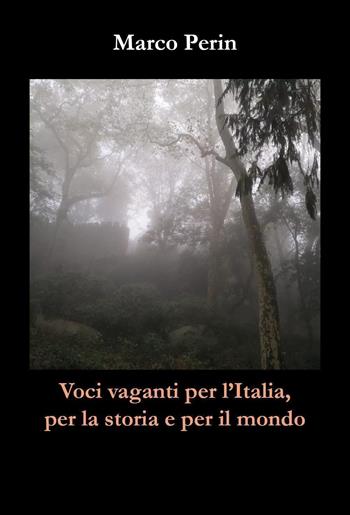 Voci vaganti per l'Italia, per la storia e per il mondo - Marco Perin - Libro Youcanprint 2024 | Libraccio.it