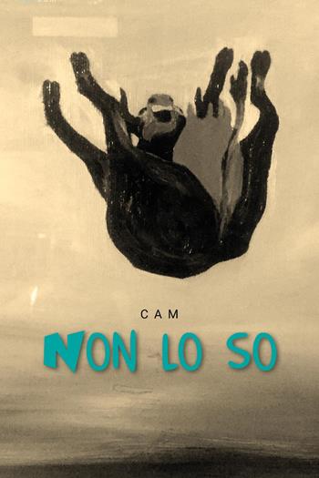 Non lo so - Camillo Bellagamba - Libro Youcanprint 2024 | Libraccio.it