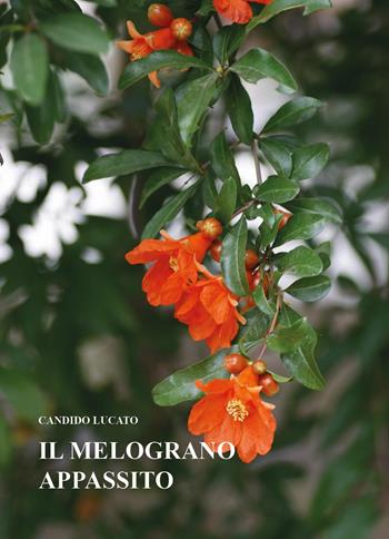 Il melograno appassito - Candido Lucato - Libro Youcanprint 2024 | Libraccio.it