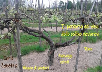 Il percorso del vino delle colline novaresi. Rime, paesaggi vitati, mappe di sentieri - Carlo Zanetta - Libro Youcanprint 2024 | Libraccio.it